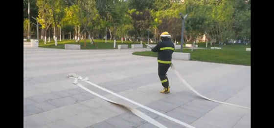 1636014504343095344.jpg 14.jpg