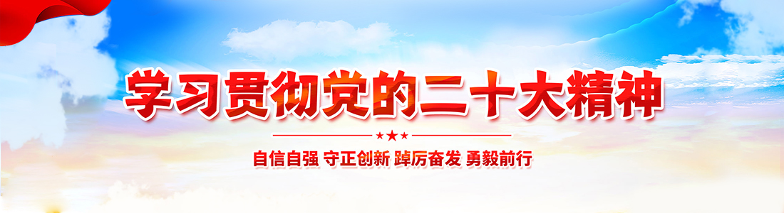 学习贯彻党的二十大精神